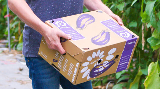 duurzame-kwaliteitsverpakking-aubergines
