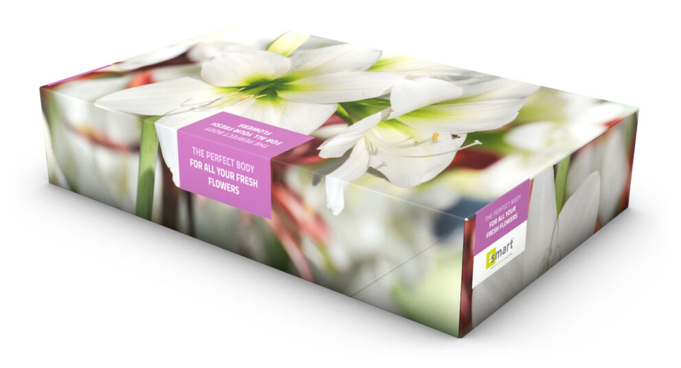 smart-packaging-solutions-4-punts-verpakking-amarylis(1)